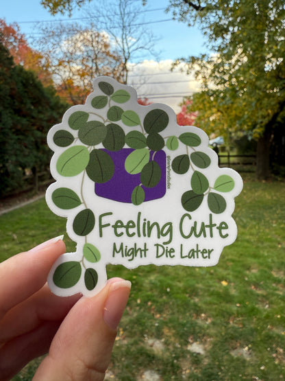 Cute Plant Sticker. Feeling cute might die later.