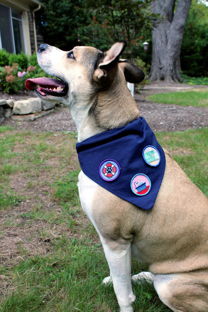 Protected House from Delivery Person, Pet Achievement Badge