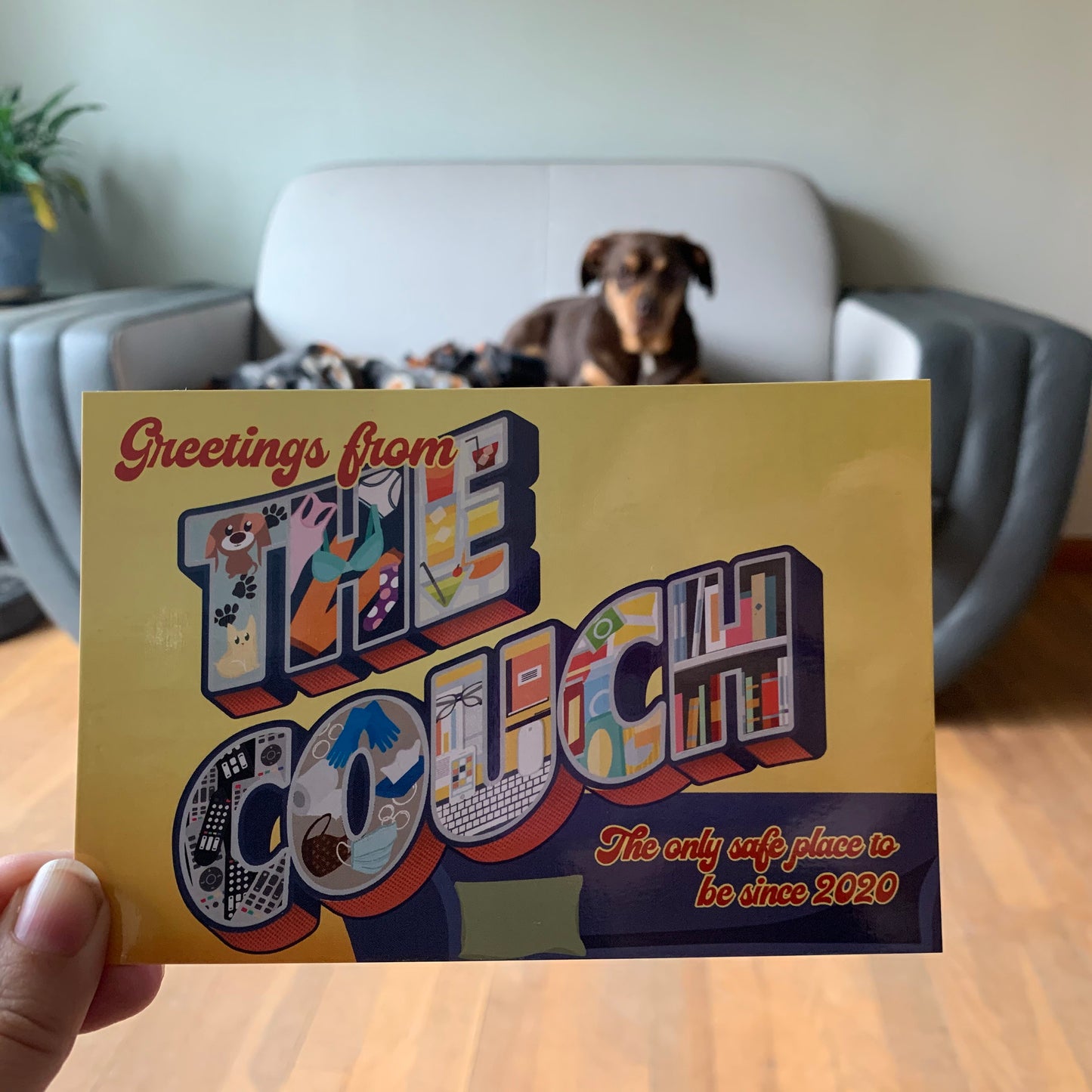 Greetings from the Couch Postcard, Social Distancing, Card, Pandemic, 2020, Funny Postcard