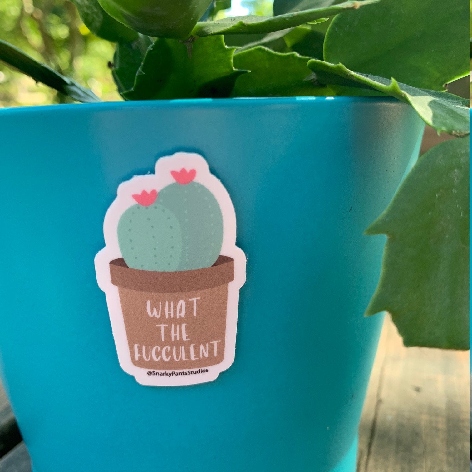 What the Fucculent Sticker, Succulent, Vinyl Sticker, Laptop Sticker