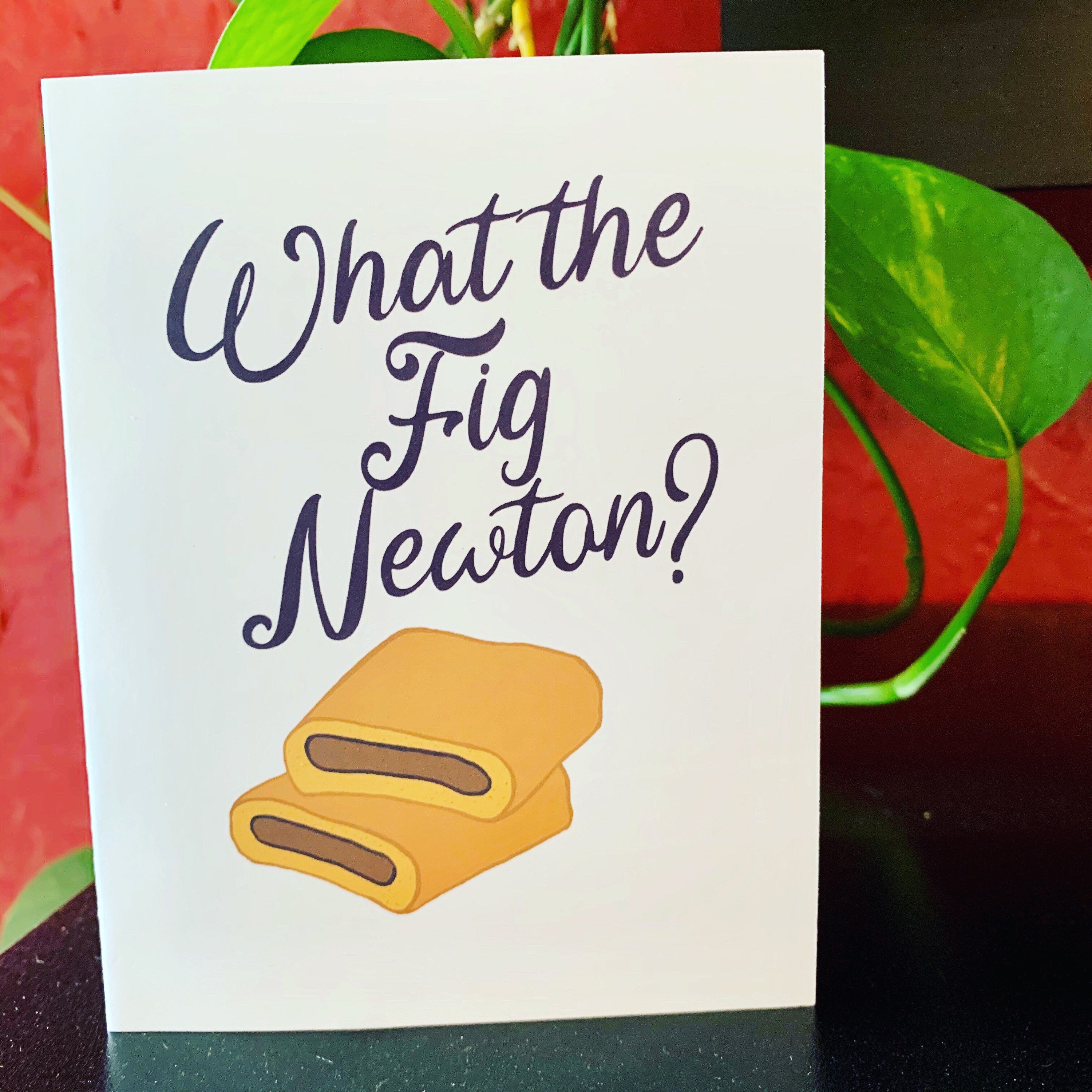 What the Fig Newton?, Greeting Card, Friendship, Snarky, Cards