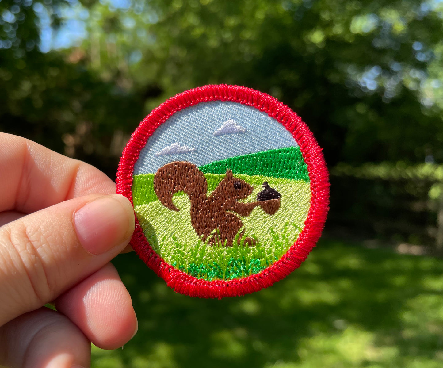 Chased a Squirrel, Pet Achievement Badge