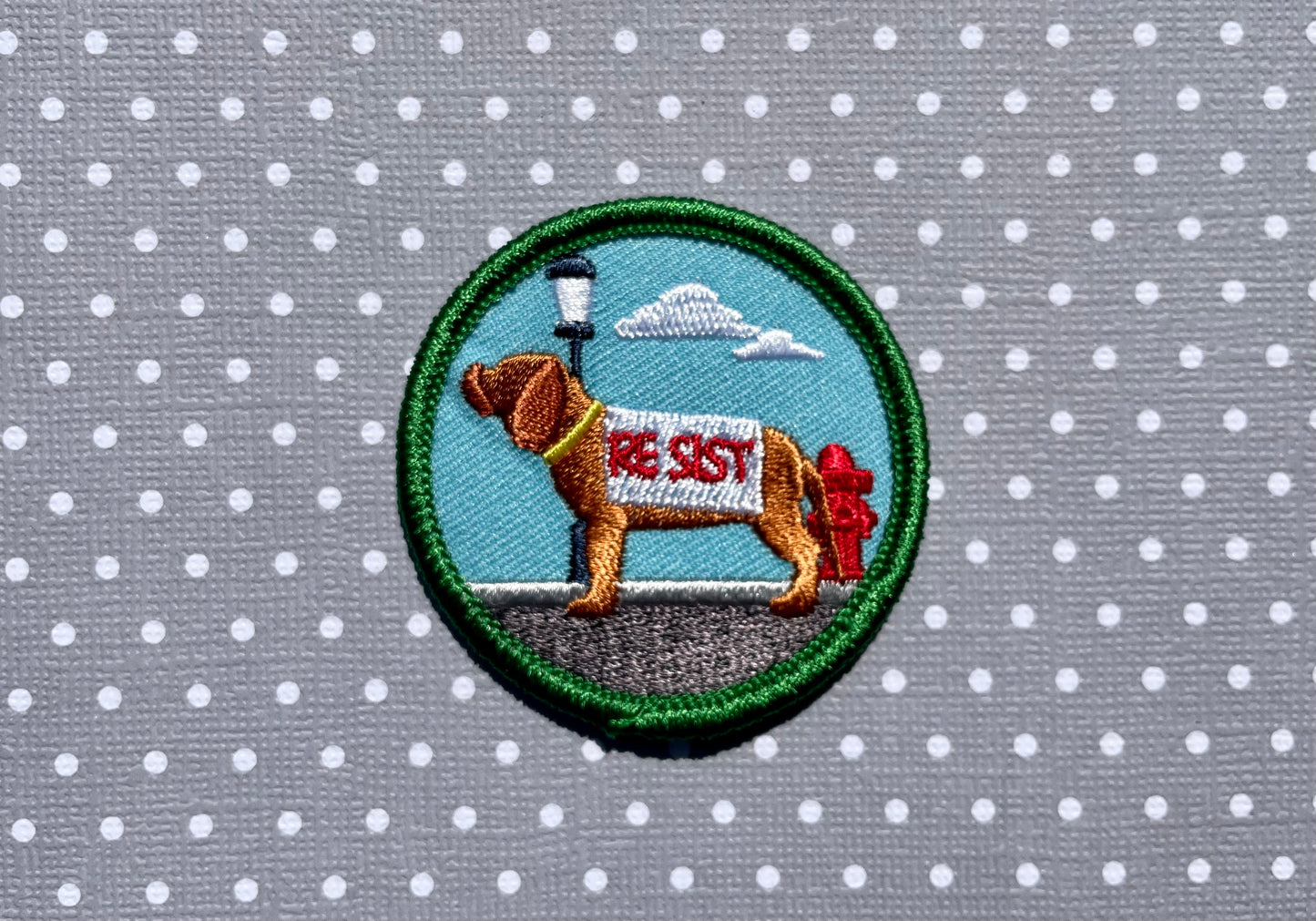 Civil Rights Watchdog, Pet Achievement Badge