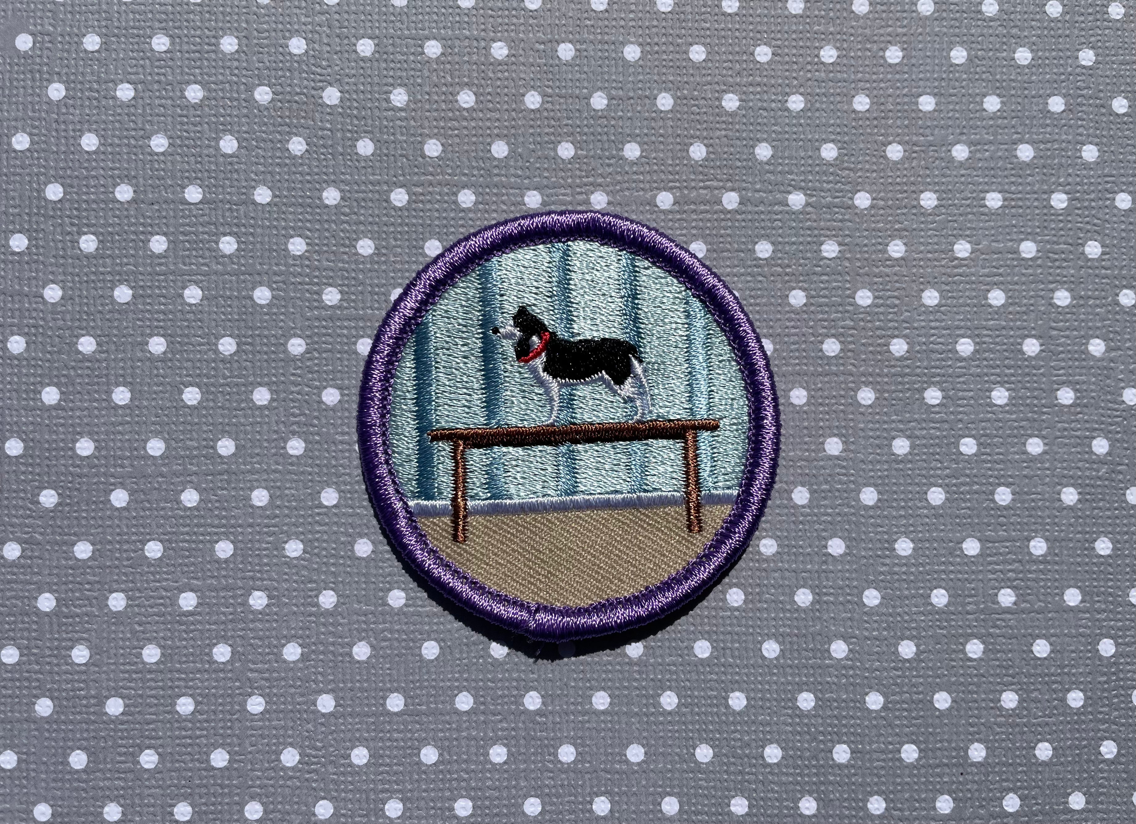 Stood on the Table, Pet Achievement Badge