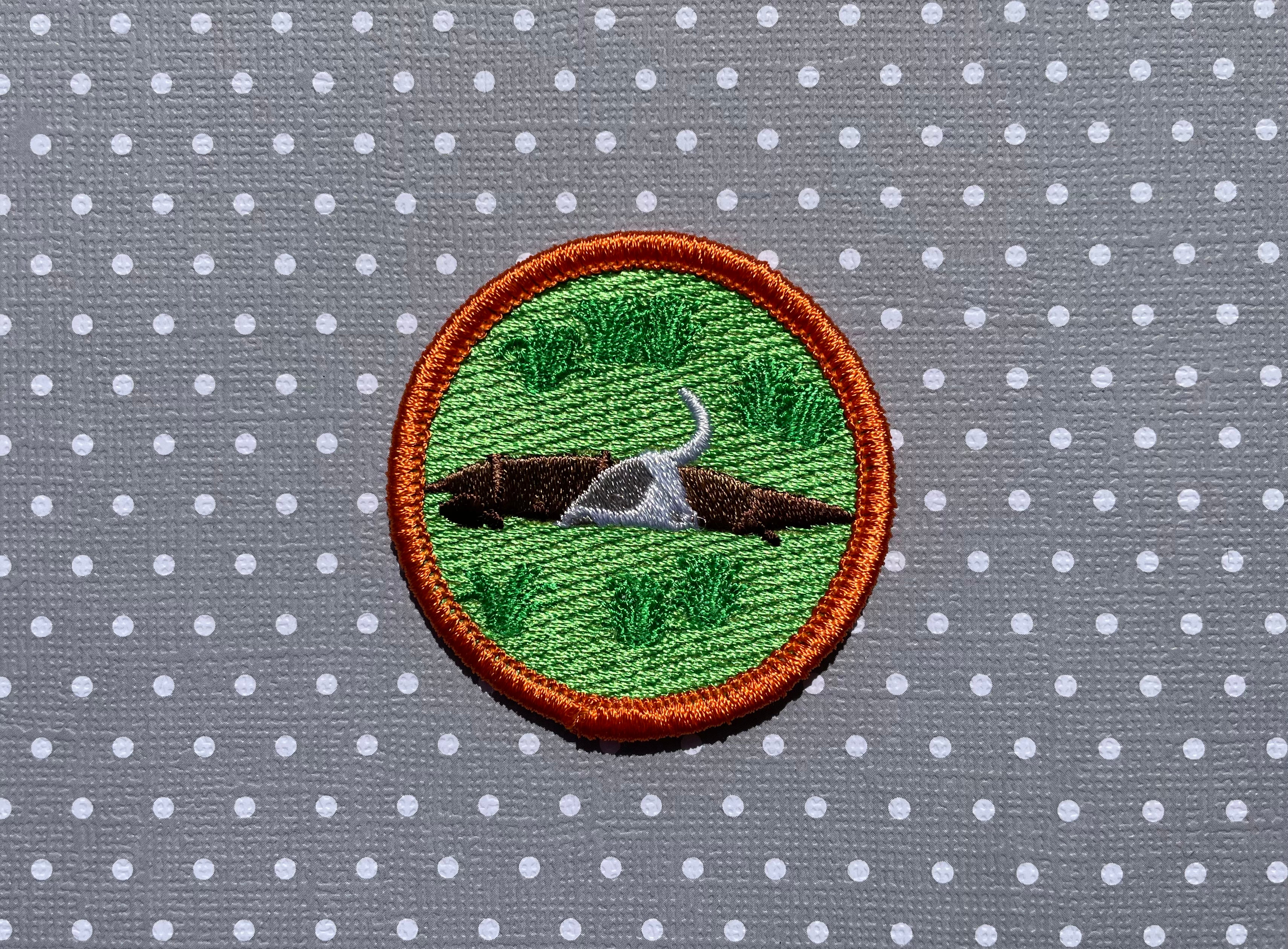 Dug a Hole, Pet Achievement Badge