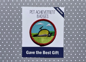 Gave the Best Gift, Pet Achievement Badge